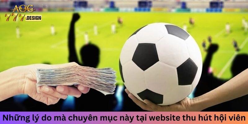 Những lý do mà chuyên mục này tại website thu hút hội viên